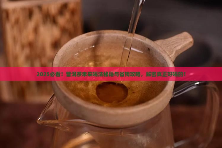 将来的普洱茶怎么喝好