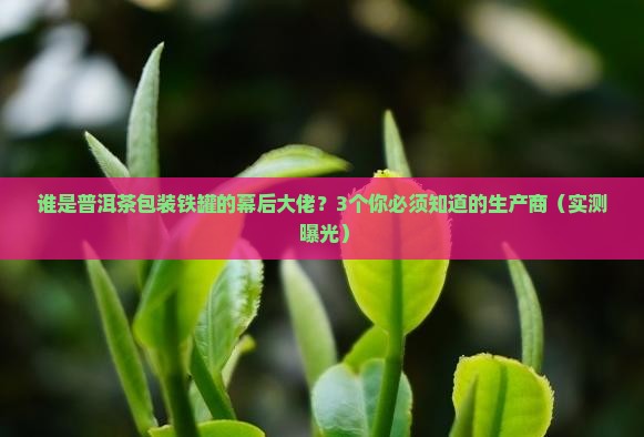 普洱茶包装铁罐生产商是谁
