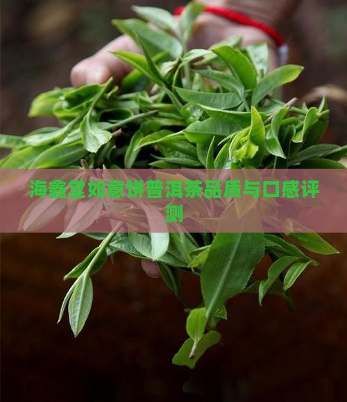 海鑫堂如意饼普洱茶怎么样
