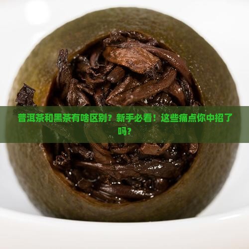 普洱茶和黑茶有啥区别