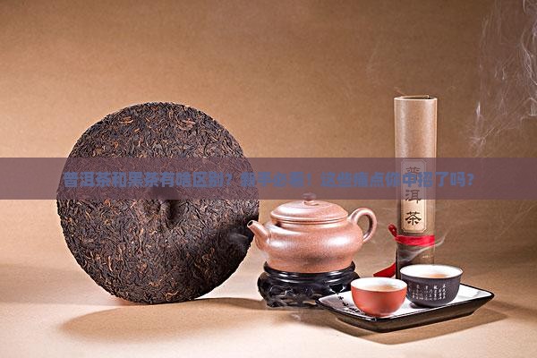 普洱茶和黑茶有啥区别
