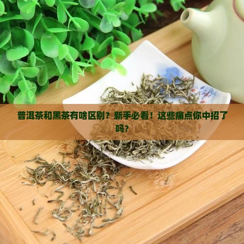 普洱茶和黑茶有啥区别