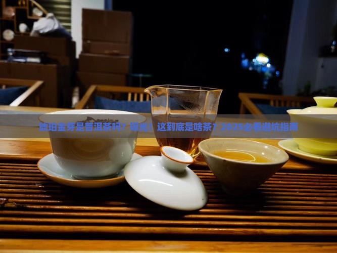 琥珀金芽是普洱茶吗为什么