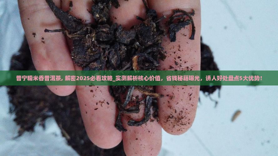 普宁糯米香普洱茶