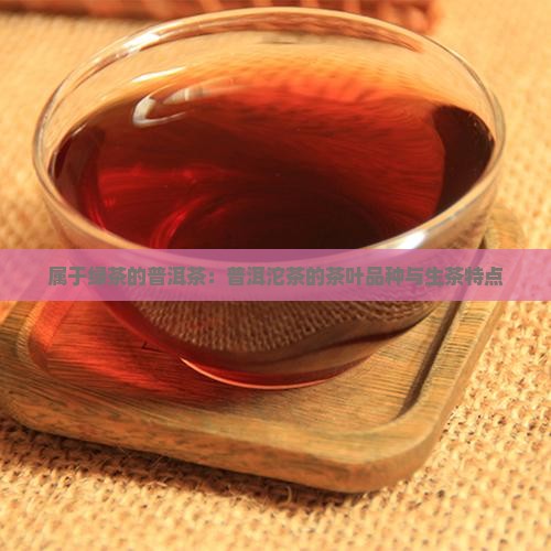 属于绿茶的普洱茶