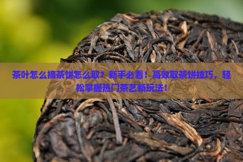 茶叶怎么摘茶饼怎么取