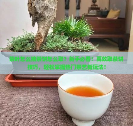 茶叶怎么摘茶饼怎么取
