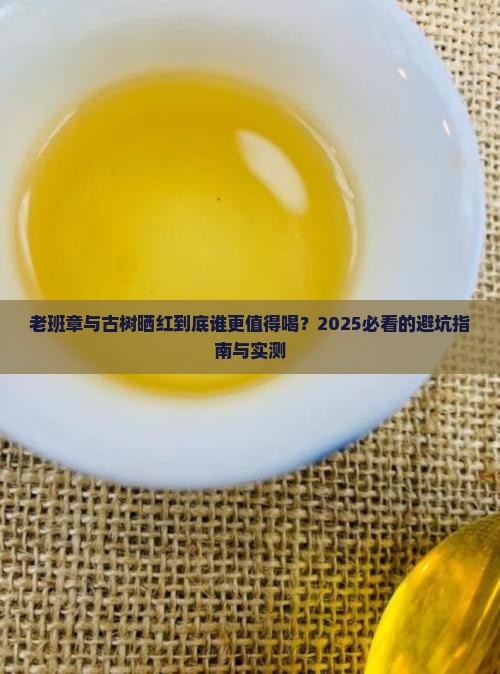 老班章与古树晒红