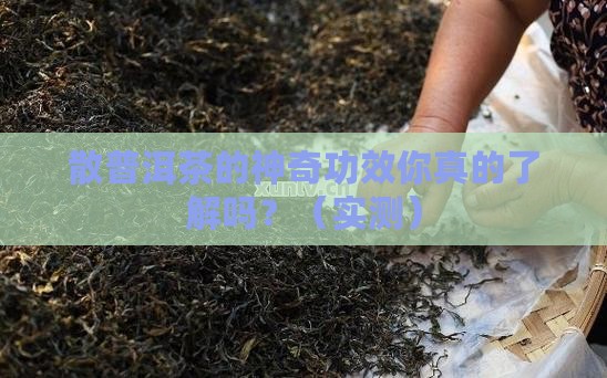 散普洱茶的功效与作用点