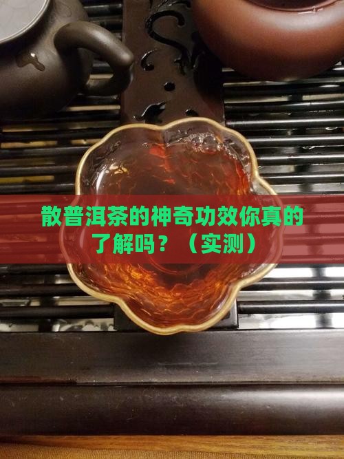 散普洱茶的功效与作用点