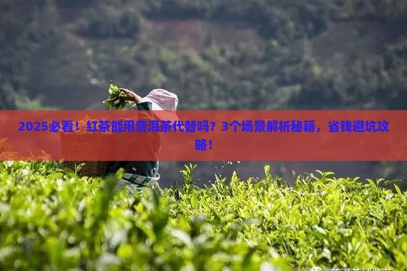 红茶能用普洱茶代替吗为什么