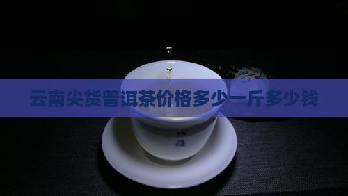 云南尖货普洱茶价格多少