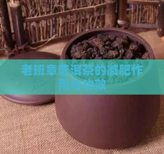老班章普洱茶的减肥作用与功效