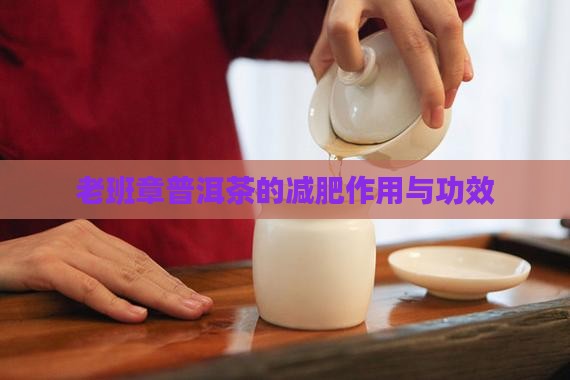 老班章普洱茶的减肥作用与功效