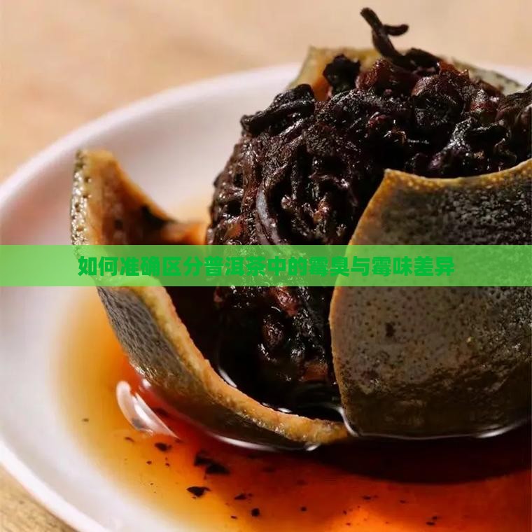 如何准确区分普洱茶中的霉臭与霉味差异