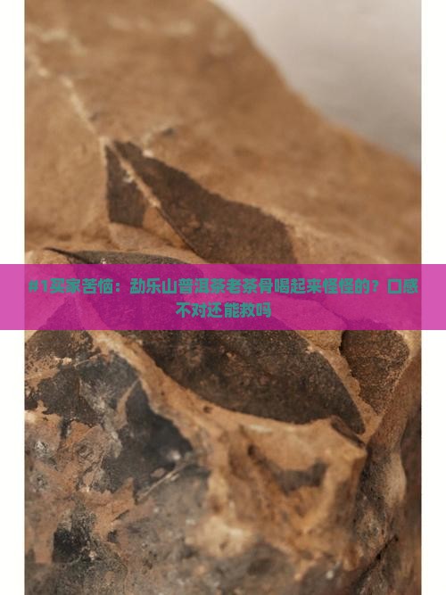 勐乐山普洱茶老茶骨