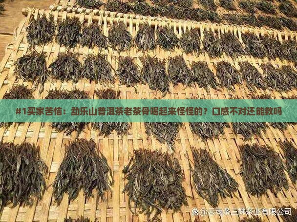 勐乐山普洱茶老茶骨