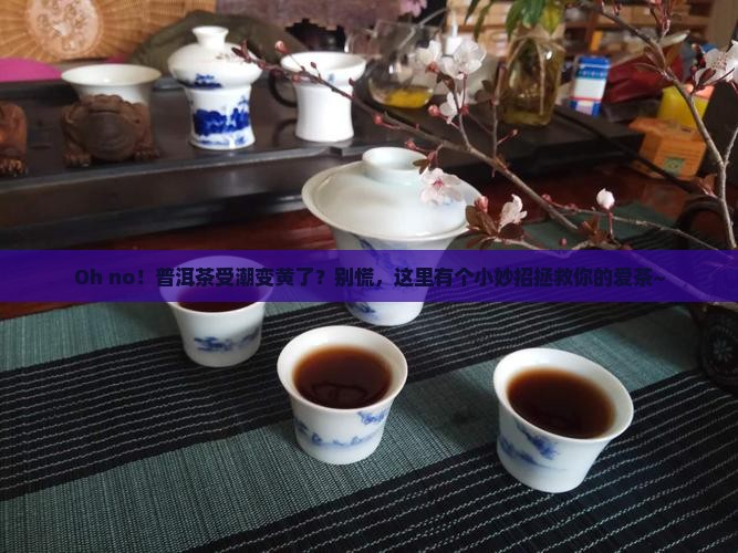 普洱茶受潮发黄怎么办小妙招