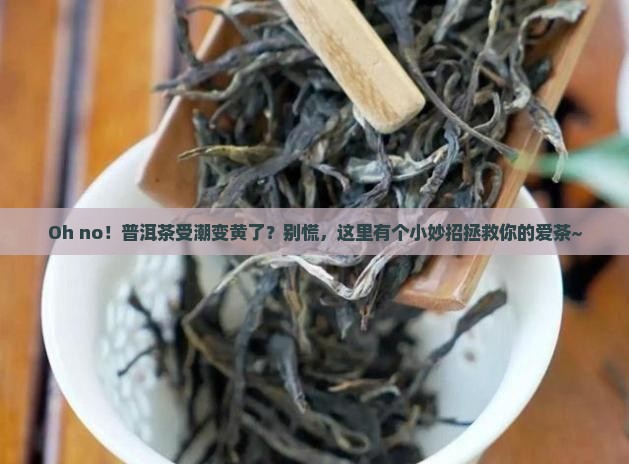 普洱茶受潮发黄怎么办小妙招