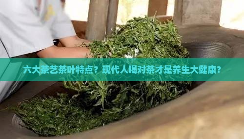 六大茶艺茶叶特点