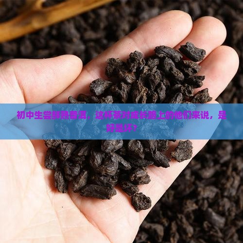 初中生喝熟的普洱茶好吗 初中生喝熟的普洱茶好吗