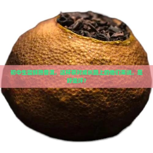 初中生喝熟的普洱茶好吗 初中生喝熟的普洱茶好吗