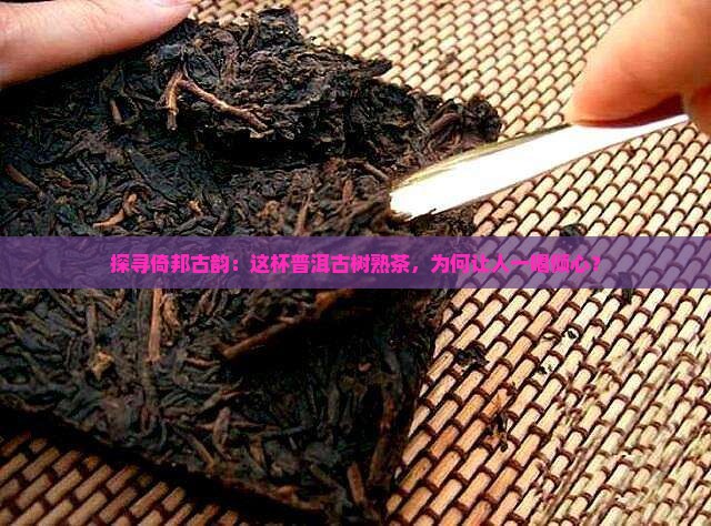 云南普洱茶倚邦古树熟茶