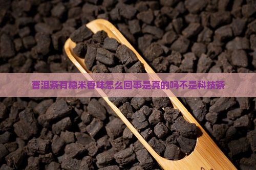 普洱茶有糯米香味