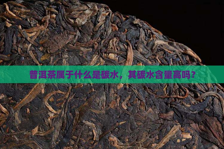 普洱茶属于什么是碳水