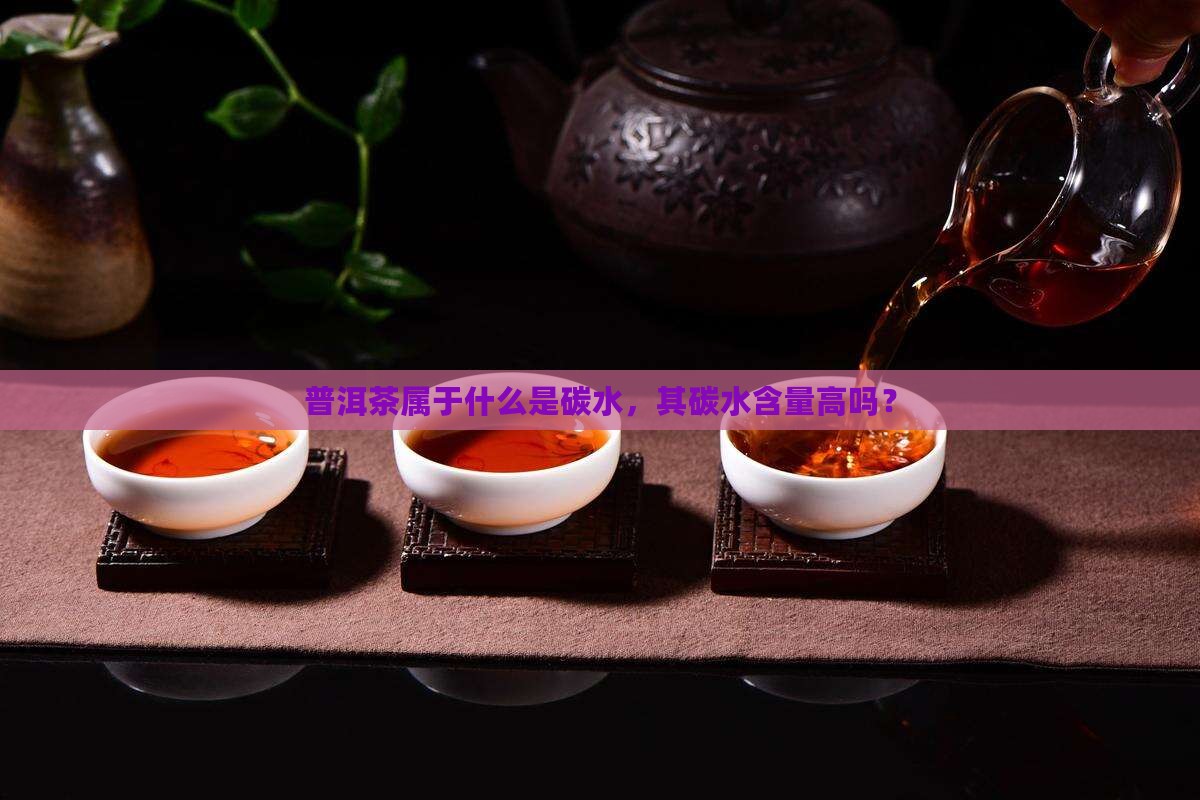 普洱茶属于什么是碳水