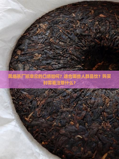 凤临茶厂班章沱