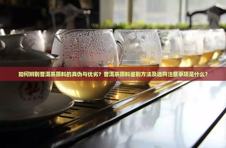 普洱茶原料怎么分真假