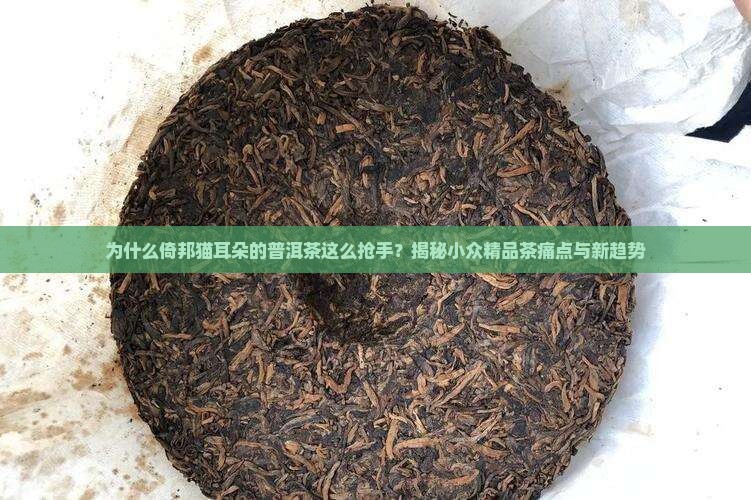 倚邦猫耳朵的普洱茶