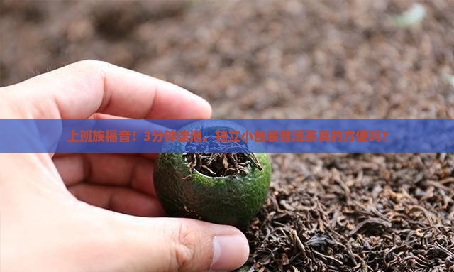 独立包装小普洱茶好吗 独立包装小普洱茶好吗