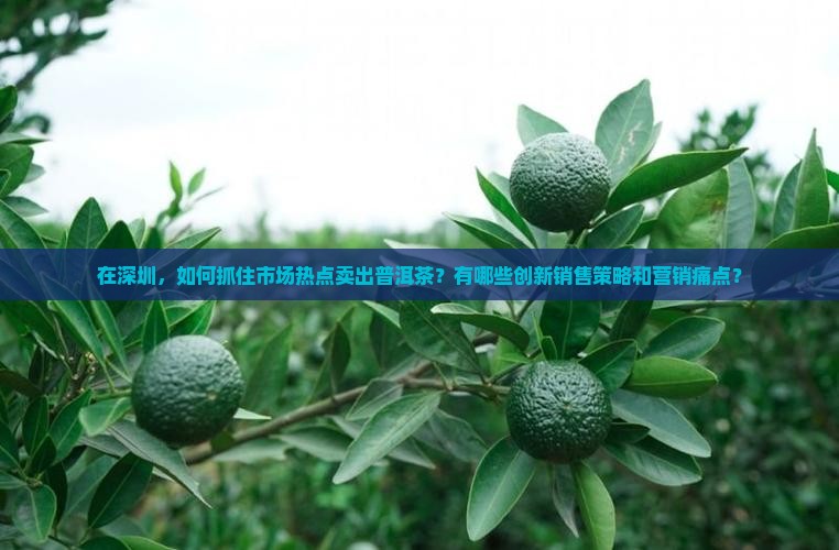 在深圳普洱茶怎么卖