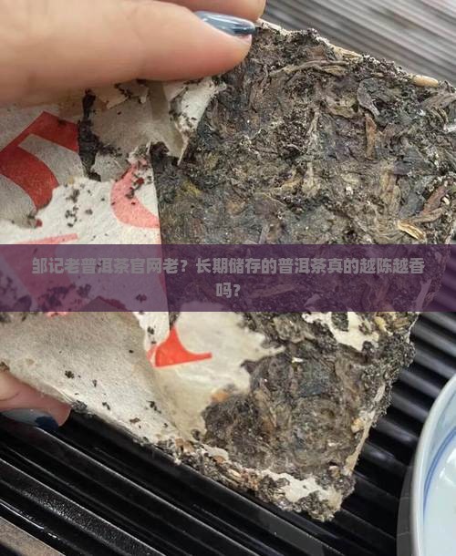 邹记老普洱茶官网老