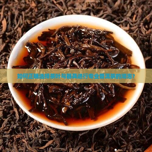 专业普洱茶沏泡