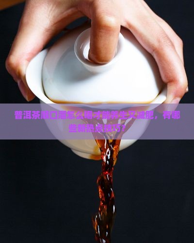 喝普洱茶顺口溜 喝普洱茶顺口溜