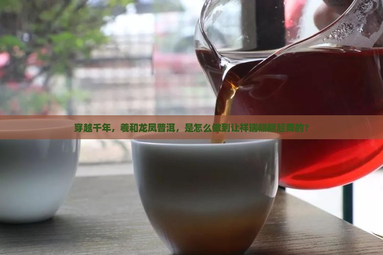 羲和时空龙凤呈祥普洱茶
