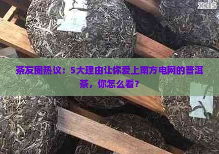 南方电网普洱茶