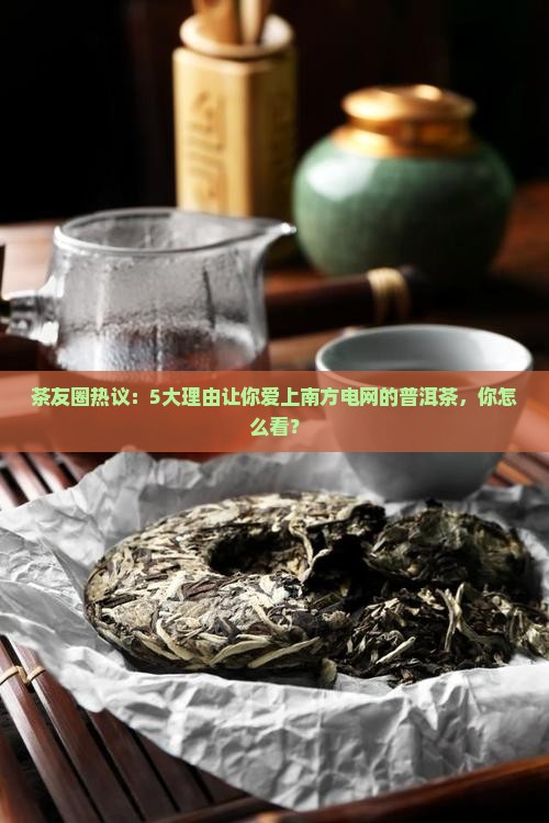 南方电网普洱茶