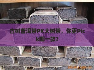 古树普洱茶和大树茶的区别