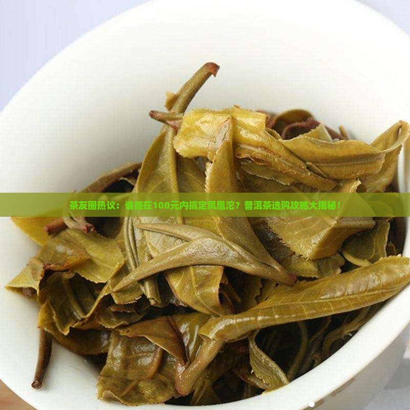 普洱茶凤凰沱价格