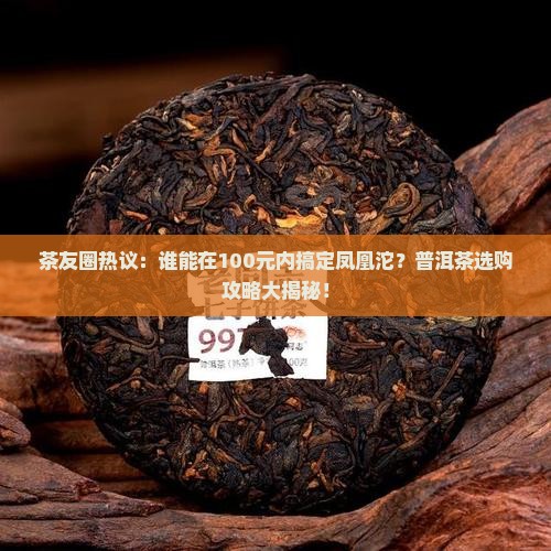 普洱茶凤凰沱价格