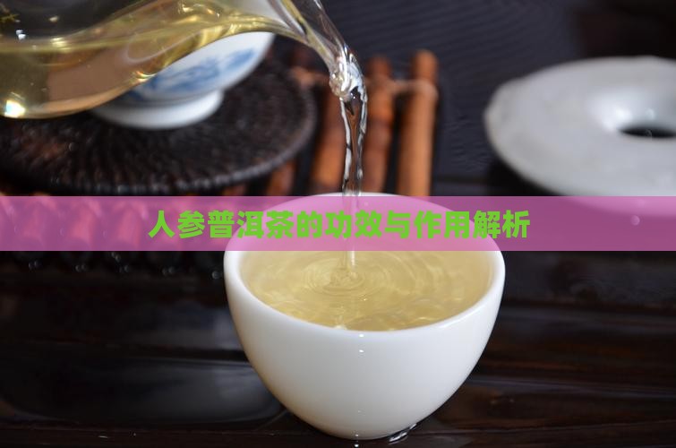 人参五花普洱茶功效作用