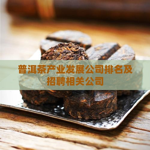 普洱茶产业发展公司