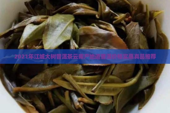 2021江城大树普洱茶