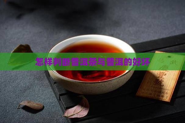 怎样知道普洱茶的好坏
