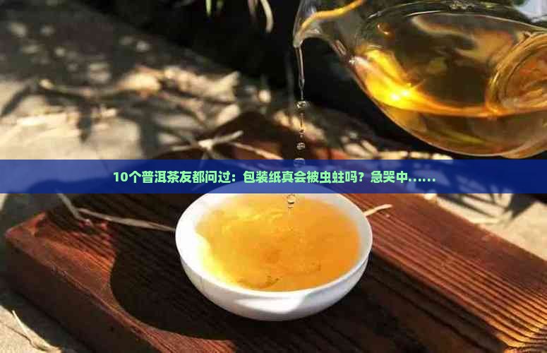 普洱茶包装纸会蛀虫吗