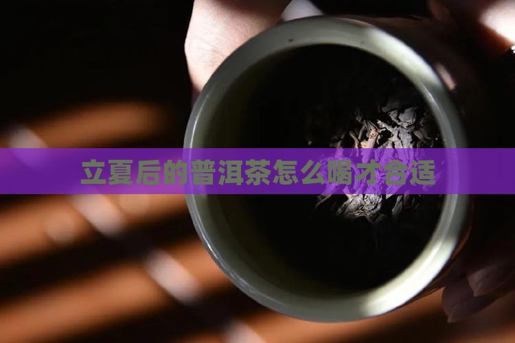 立夏后的普洱茶怎么喝